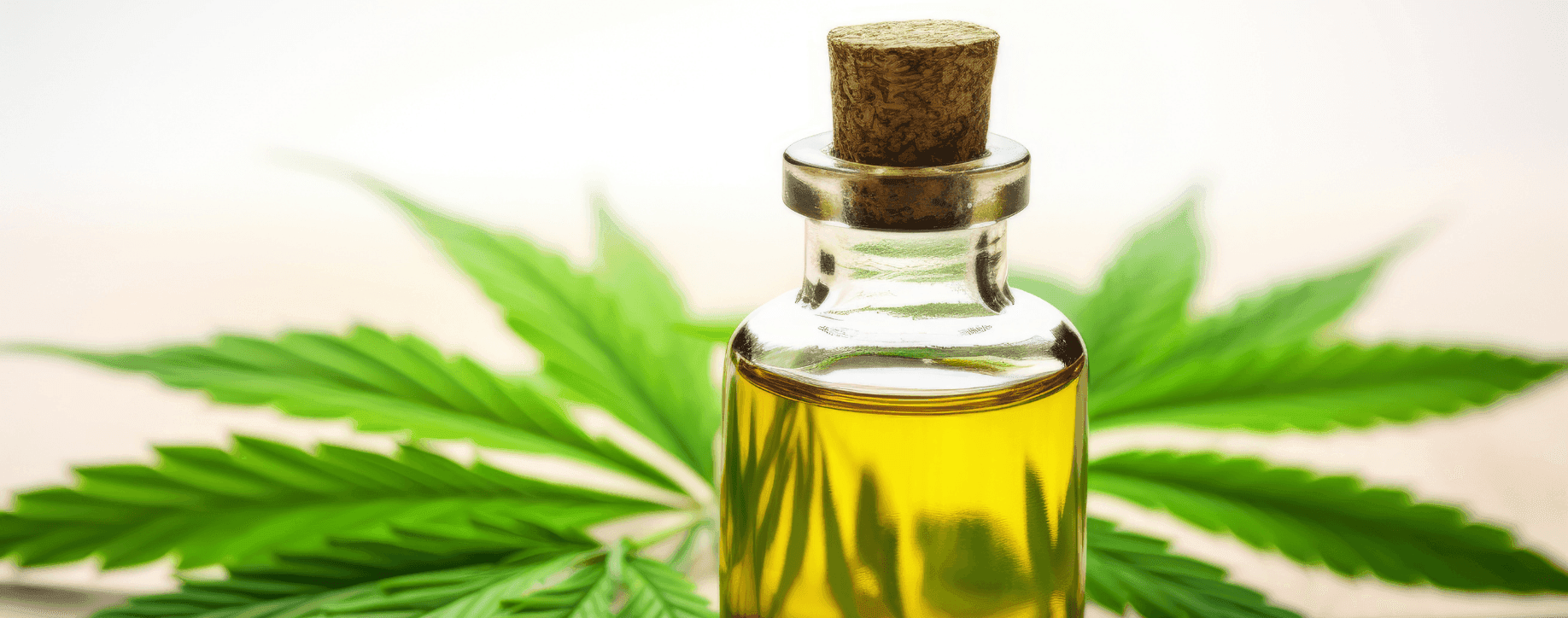 Orah Vit E clean-label Vitamin E ingredient Orah Vit E clean-label Vitamin E ingredient