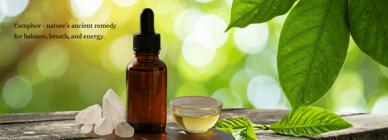 Camphor Oil Camphor-Infused Pain Relief Body Massage Oil for muscle fatigue and deep comfort
